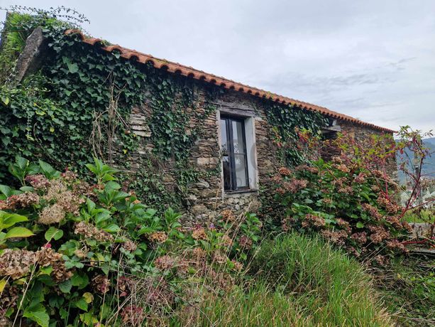 Quinta Brasonada com Piscina · Orbacém, Caminha