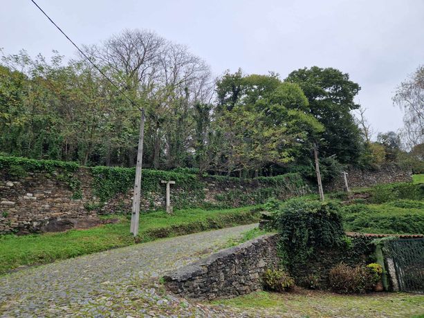 Quinta Brasonada com Piscina · Orbacém, Caminha