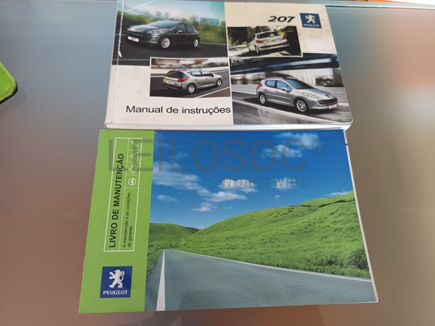 Peugeot 207 · Ano 2009