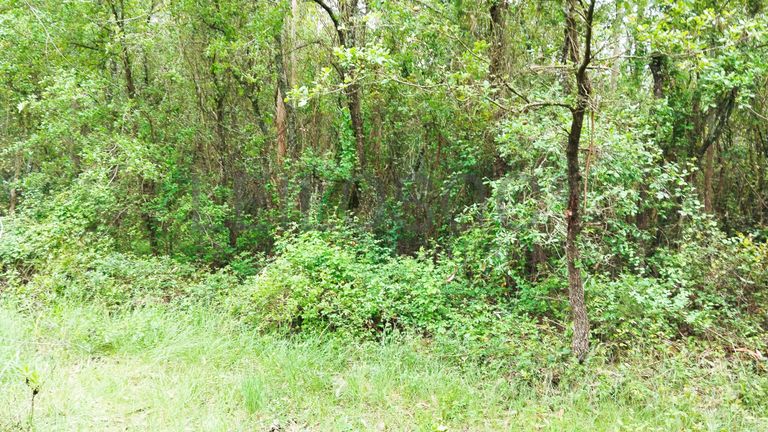 Terreno com 2.260,00 m² · Juncal, Porto de Mós