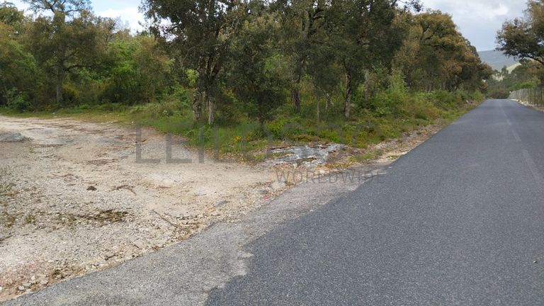 Terreno com 2.260,00 m² · Juncal, Porto de Mós