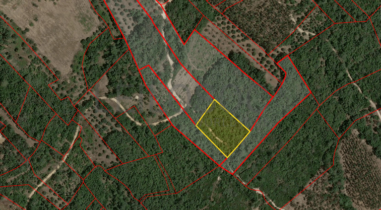 Terreno com 2.600,00 m² · Juncal, Porto de Mós