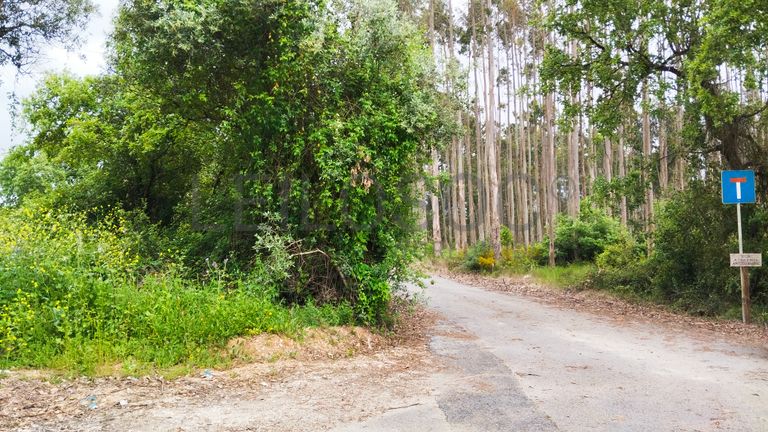 Terreno com 1.880,00 m² · Pedreiras, Porto de Mós
