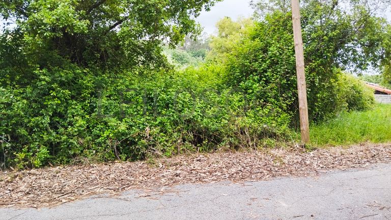 Terreno com 1.880,00 m² · Pedreiras, Porto de Mós