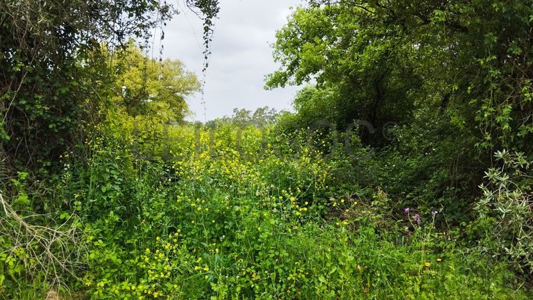 Terreno com 1.880,00 m² · Pedreiras, Porto de Mós