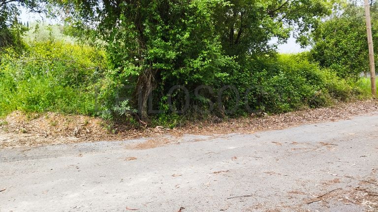 Terreno com 1.880,00 m² · Pedreiras, Porto de Mós