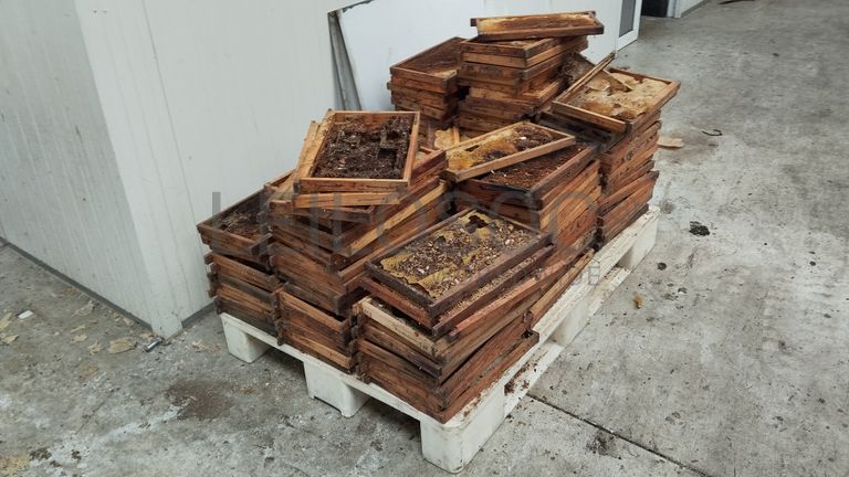 Caixas · Alimentadores de Abelhas