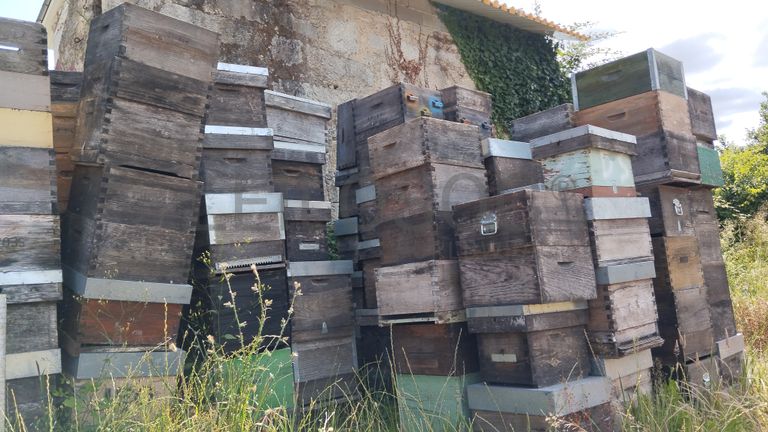 Stock de Artigos de Apicultura