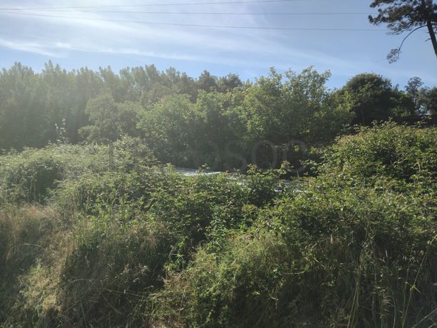Terrenos · Águeda