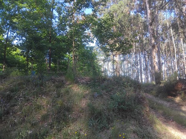 Terreno com 750 m² · Águeda