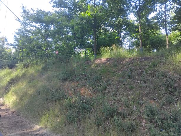 Terreno com 750 m² · Águeda