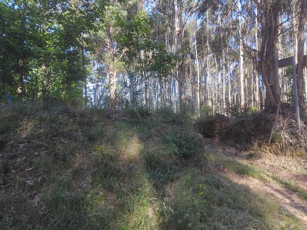 Terreno com 750 m² · Águeda