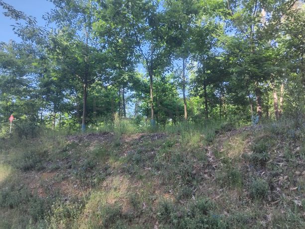 Terreno com 750 m² · Águeda