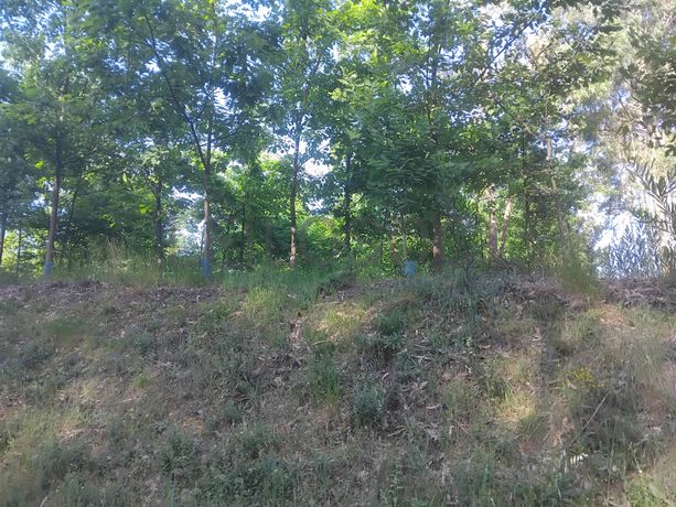 Terreno com 750 m² · Águeda