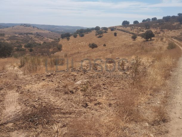 Proporção de 1/12 de Terreno com 13,96 hectares · Mértola