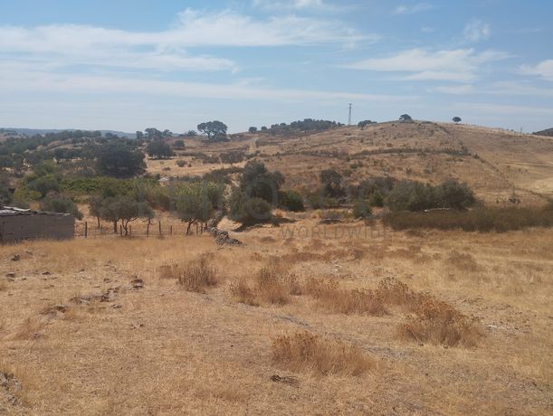 Proporção de 1/12 de Terreno com 13,96 hectares · Mértola