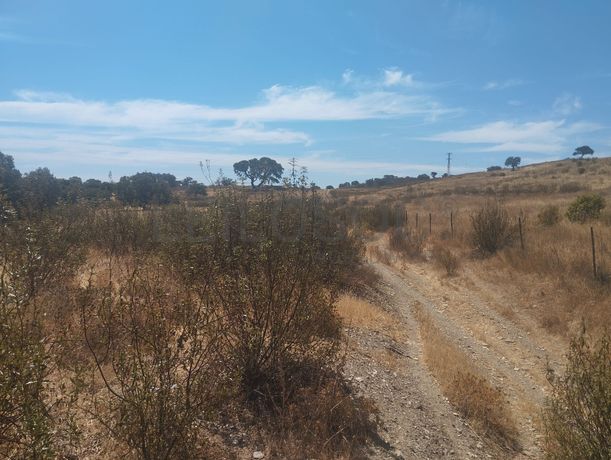 Proporção de 1/12 de Terreno com 13,96 hectares · Mértola