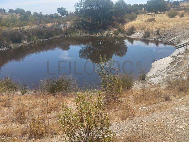 Proporção de 1/12 de Terreno com 13,96 hectares · Mértola