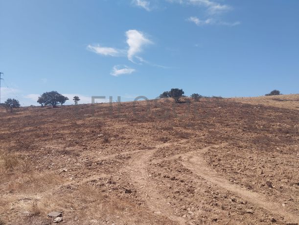Proporção de 1/12 de Terreno com 13,96 hectares · Mértola
