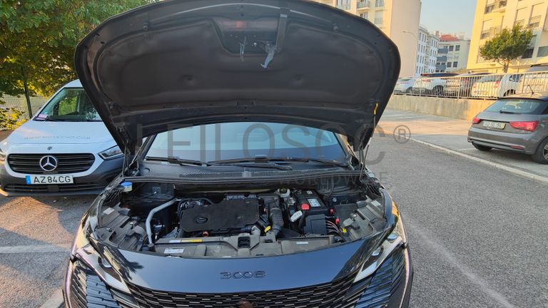 Peugeot 3008 · Ano 2020