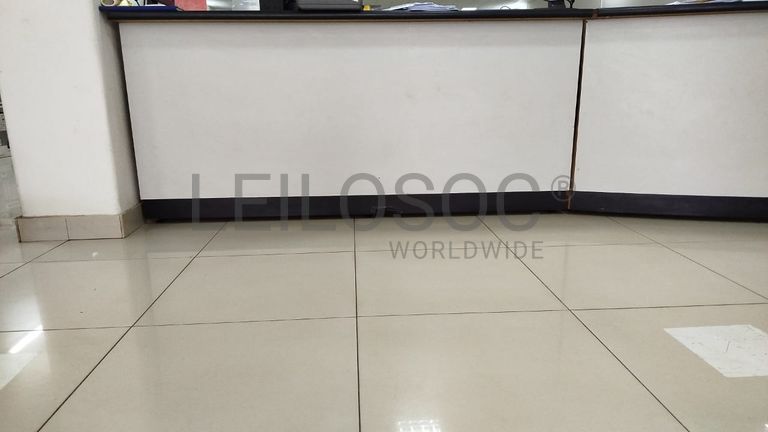 Corta Relva, Alternador e Balcão de Madeira