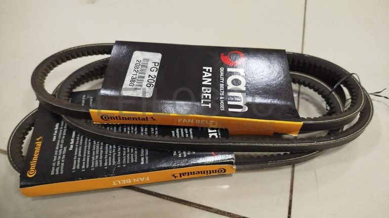 Correia de Ventoinha