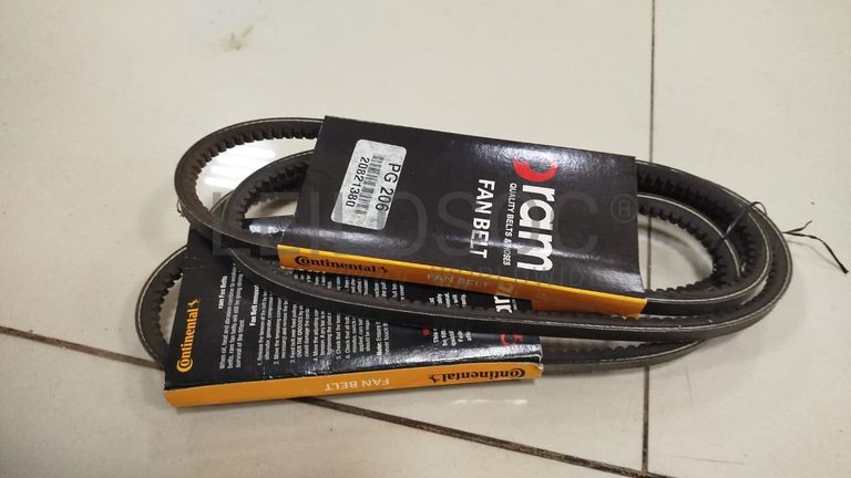 Correia de Ventoinha