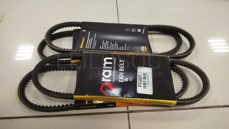 Correia de Ventoinha