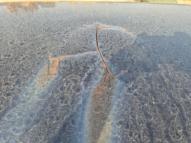 Mini Cooper · Ano 2008