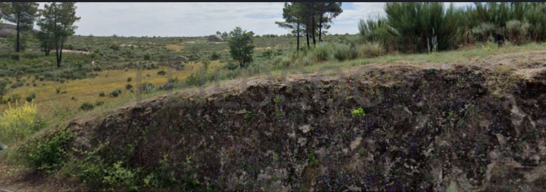 Terreno com 28.000 m² · Jarmelo São Pedro, Guarda