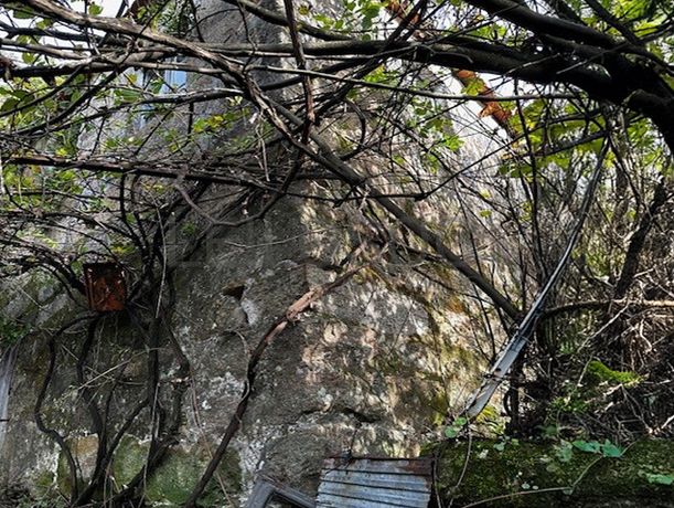 Moradia em Ruínas · Abragão, Penafiel