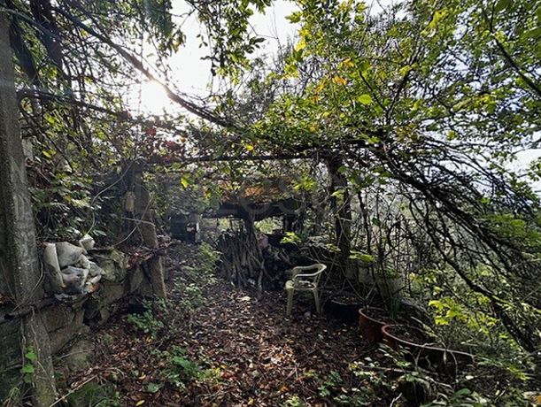 Moradia em Ruínas · Abragão, Penafiel