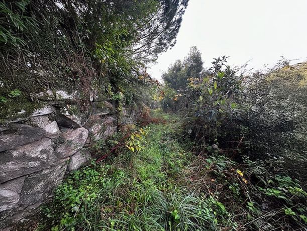 Moradia em Ruínas · Abragão, Penafiel