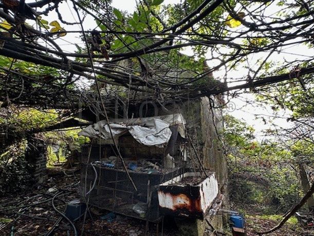 Moradia em Ruínas · Abragão, Penafiel