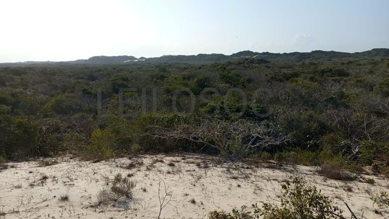 Infraestruturas em terreno com 5 hectares