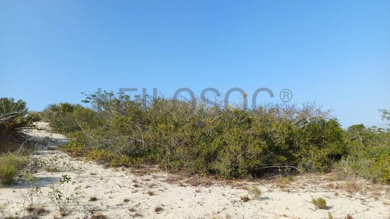 Infraestruturas em terreno com 5 hectares