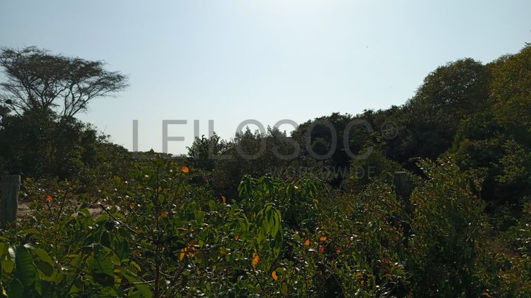 Infraestruturas em terreno com 5 hectares