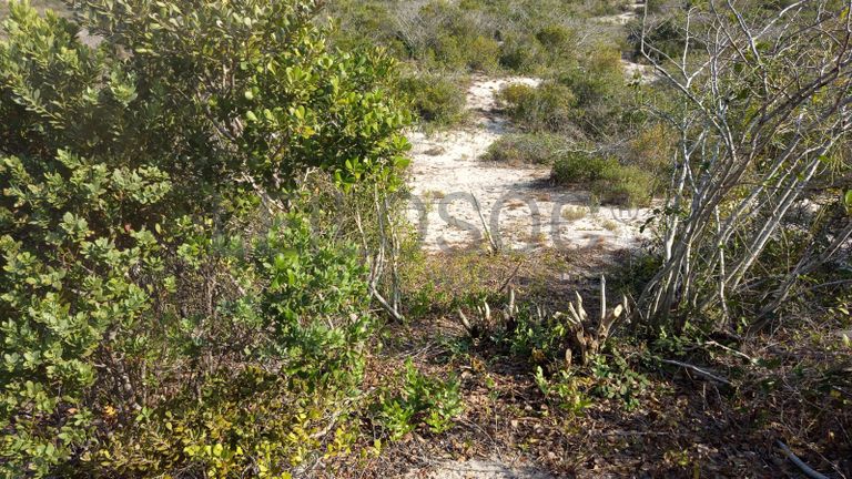 Infraestruturas em terreno com 5 hectares