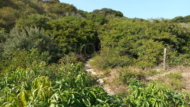 Infraestruturas em terreno com 5 hectares