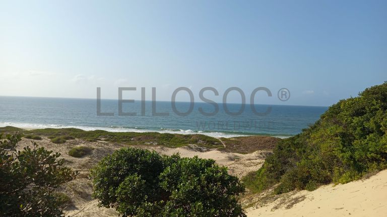 Infraestruturas em terreno com 5 hectares