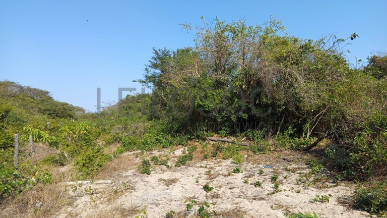 Infraestruturas em terreno com 5 hectares