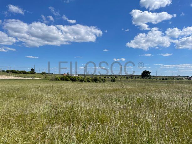 Quinta com 5,9 hectares · Palmela
