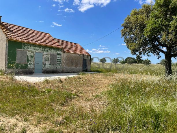 Quinta com 5,9 hectares · Palmela