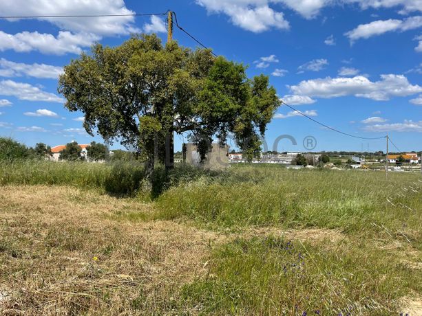 Quinta com 5,9 hectares · Palmela