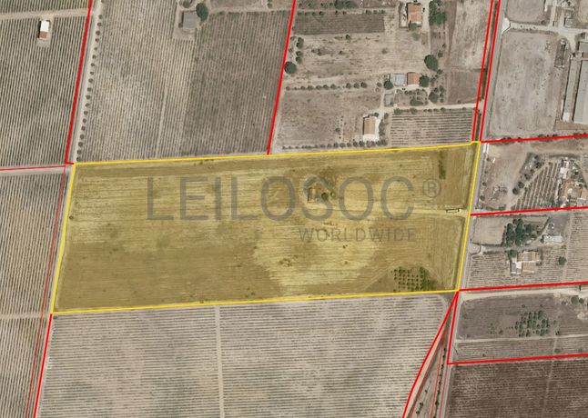 Quinta com 5,9 hectares · Palmela