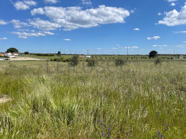 Quinta com 5,9 hectares · Palmela