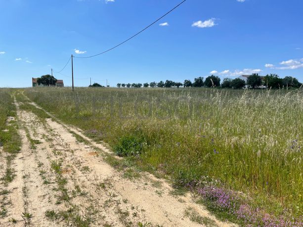 Quinta com 5,9 hectares · Palmela