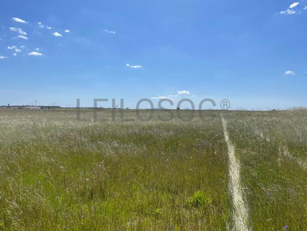 Quinta com 5,9 hectares · Palmela