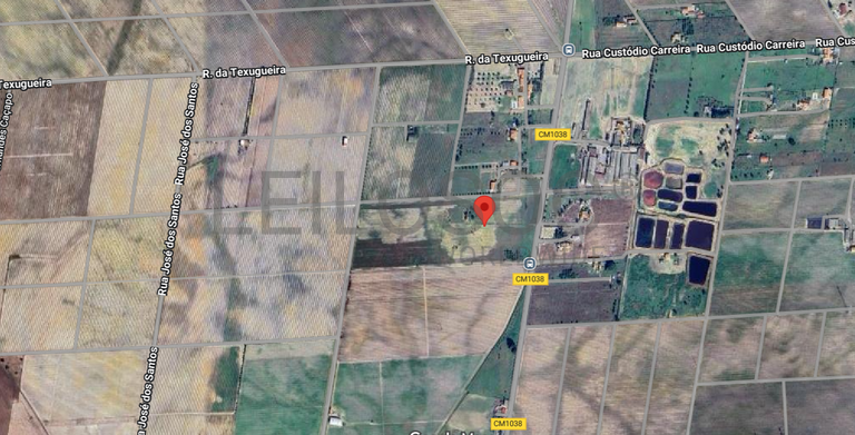 Quinta com 5,9 hectares · Palmela