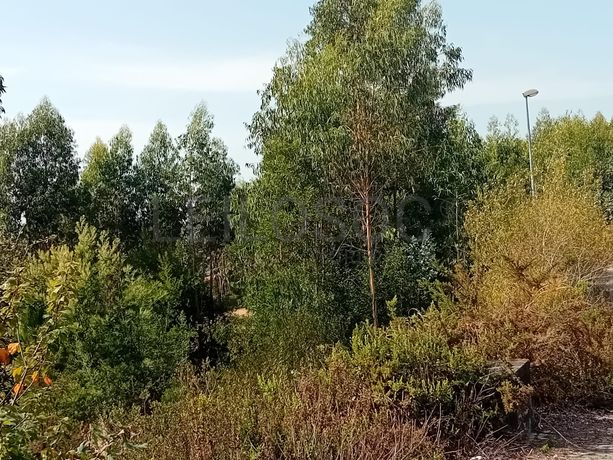 Terreno para Construção · Vila Nova de Famalicão